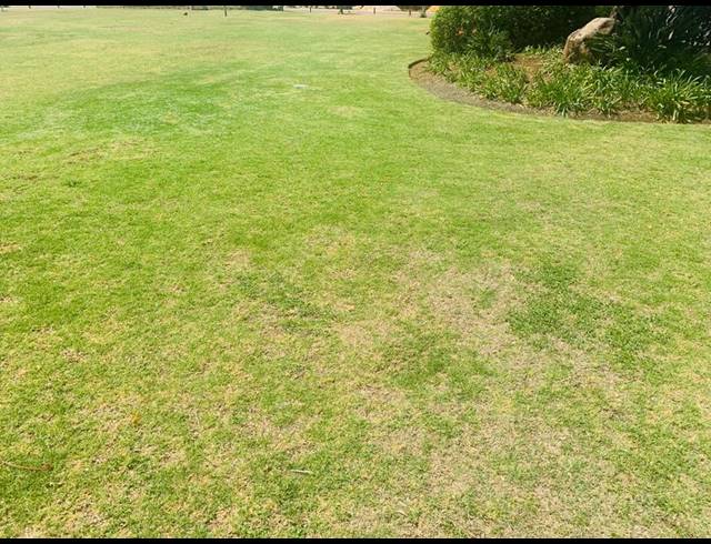 LAND FOR SALE IN SAVANNAH COUNTRY ESTATE